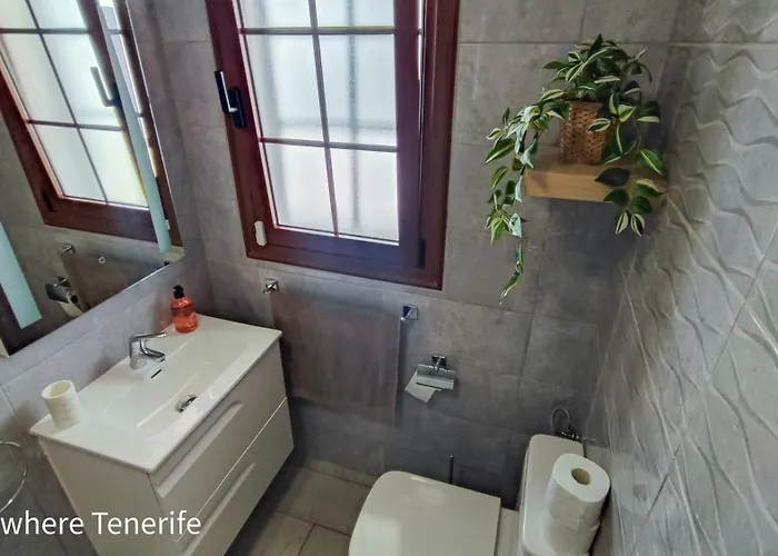 Primavera By The Apartamento *